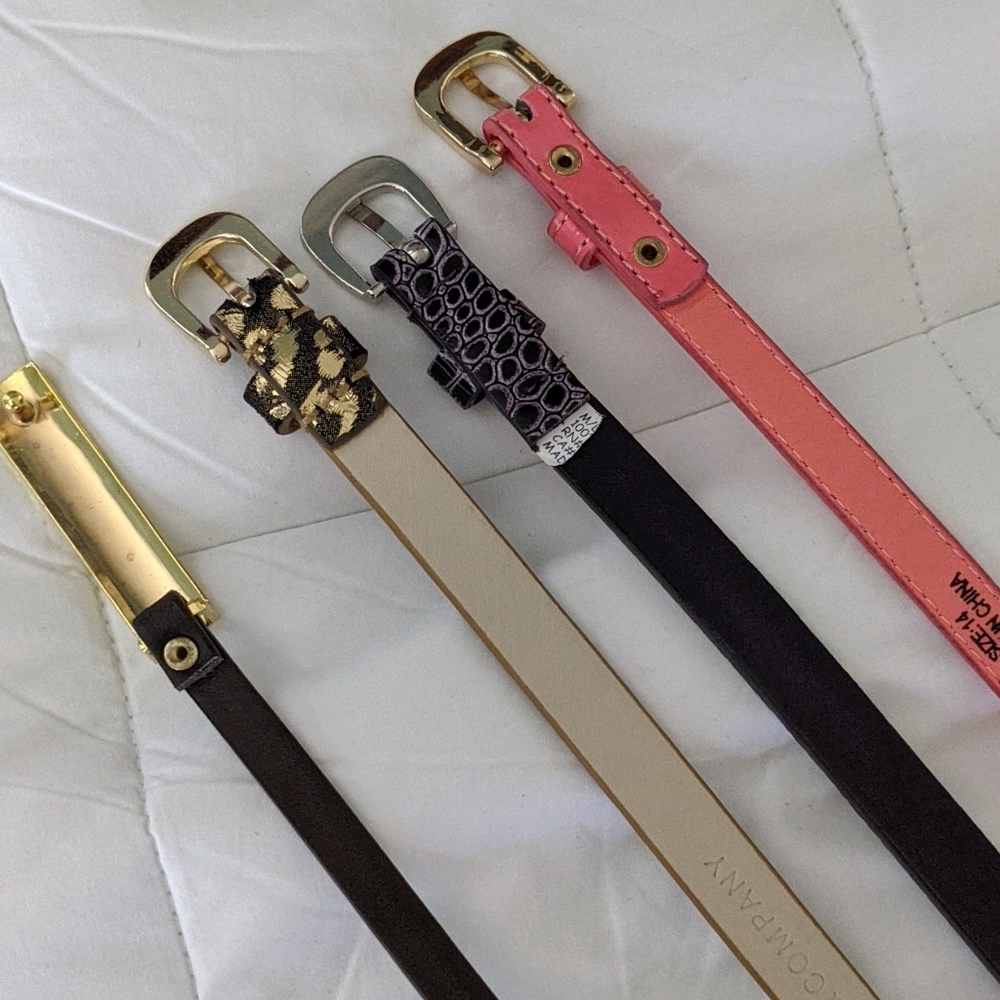 Belts - Picture 3 of 3
